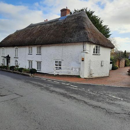 The White Cottage Colyton Bagian luar foto