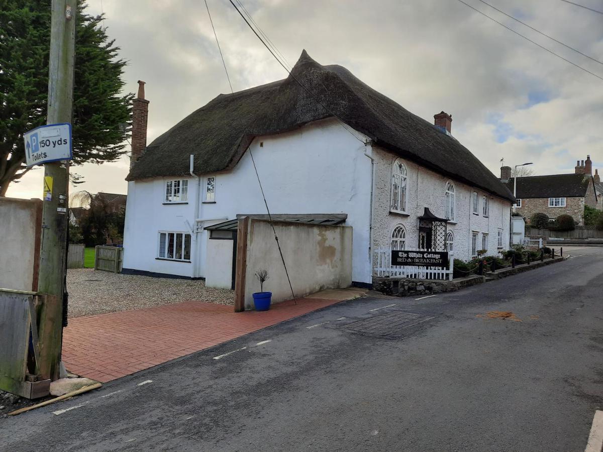 The White Cottage Colyton Bagian luar foto