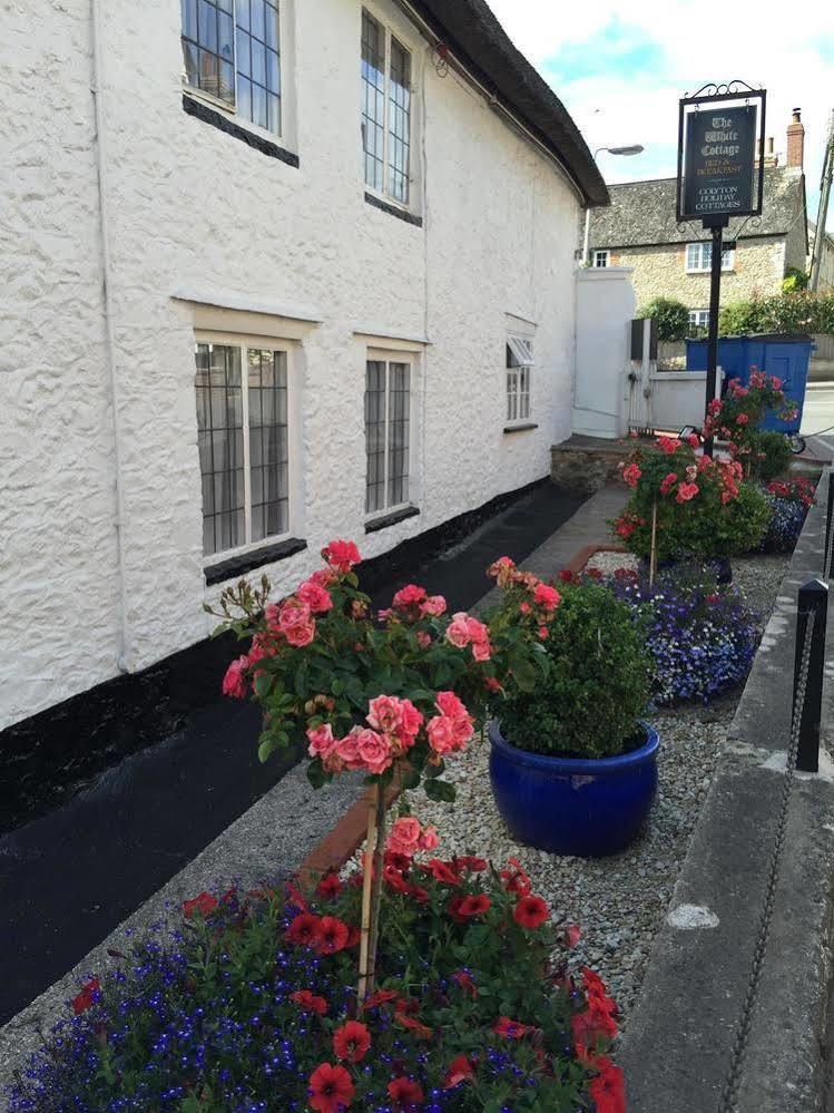 The White Cottage Colyton Bagian luar foto